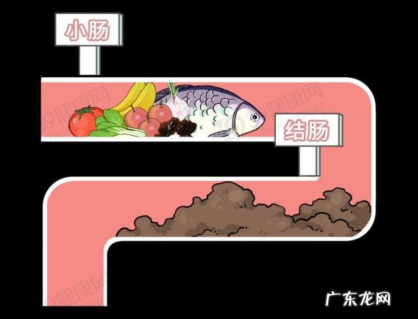 难顶是什么意思? 真难顶什么意思