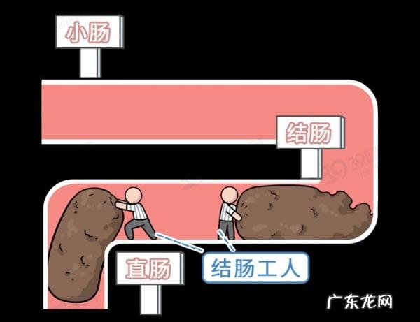 难顶是什么意思? 真难顶什么意思