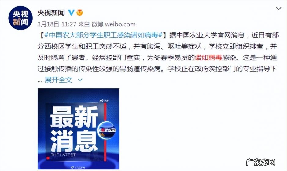 难顶是什么意思? 真难顶什么意思