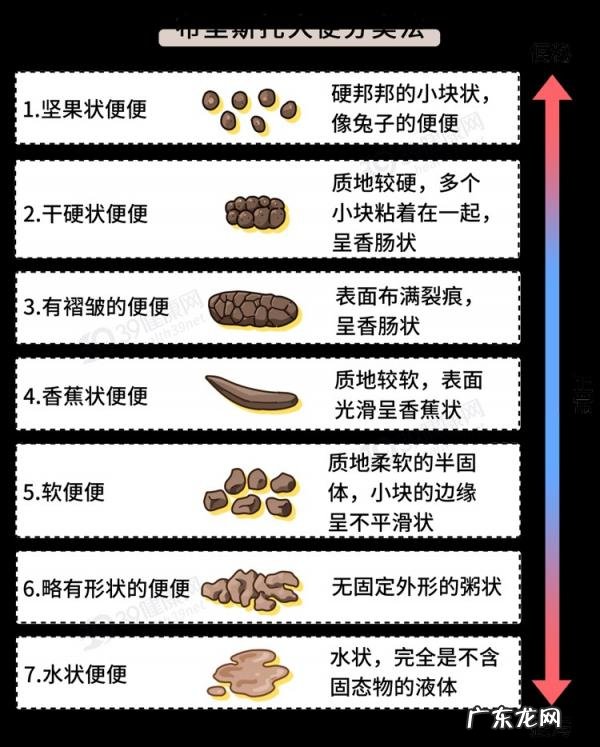 难顶是什么意思? 真难顶什么意思