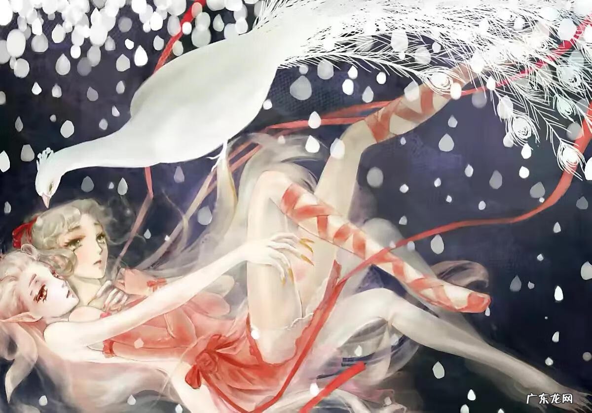 舞姬01 舞姬作者