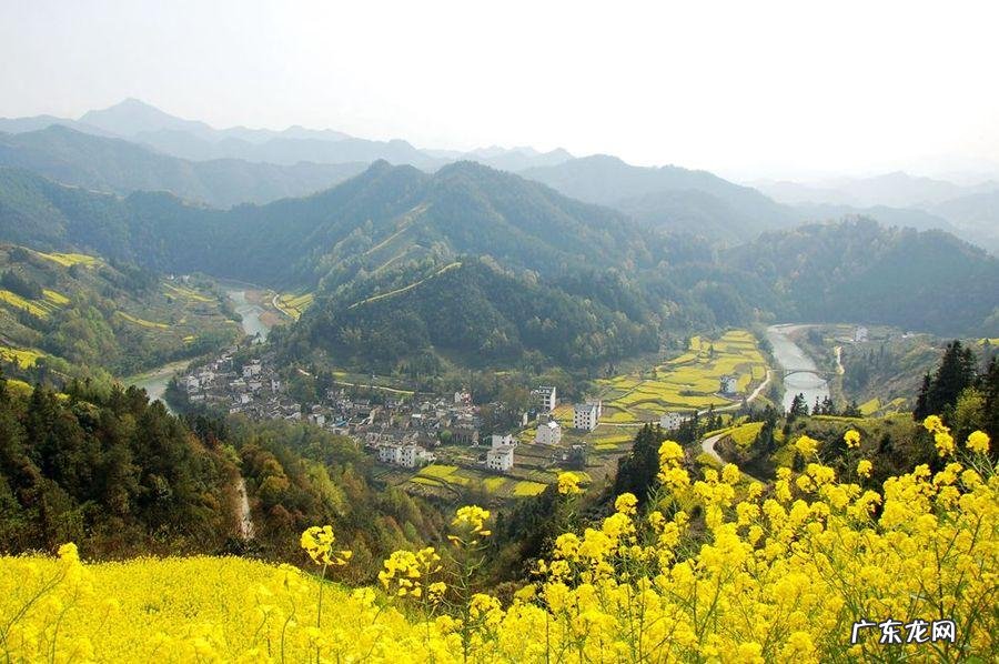 柘字的读音 柘的读音和意思