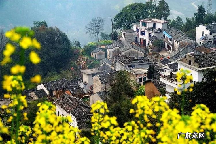 柘字的读音 柘的读音和意思