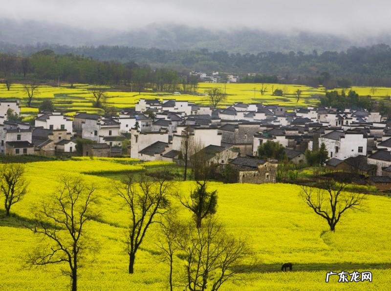 柘字的读音 柘的读音和意思