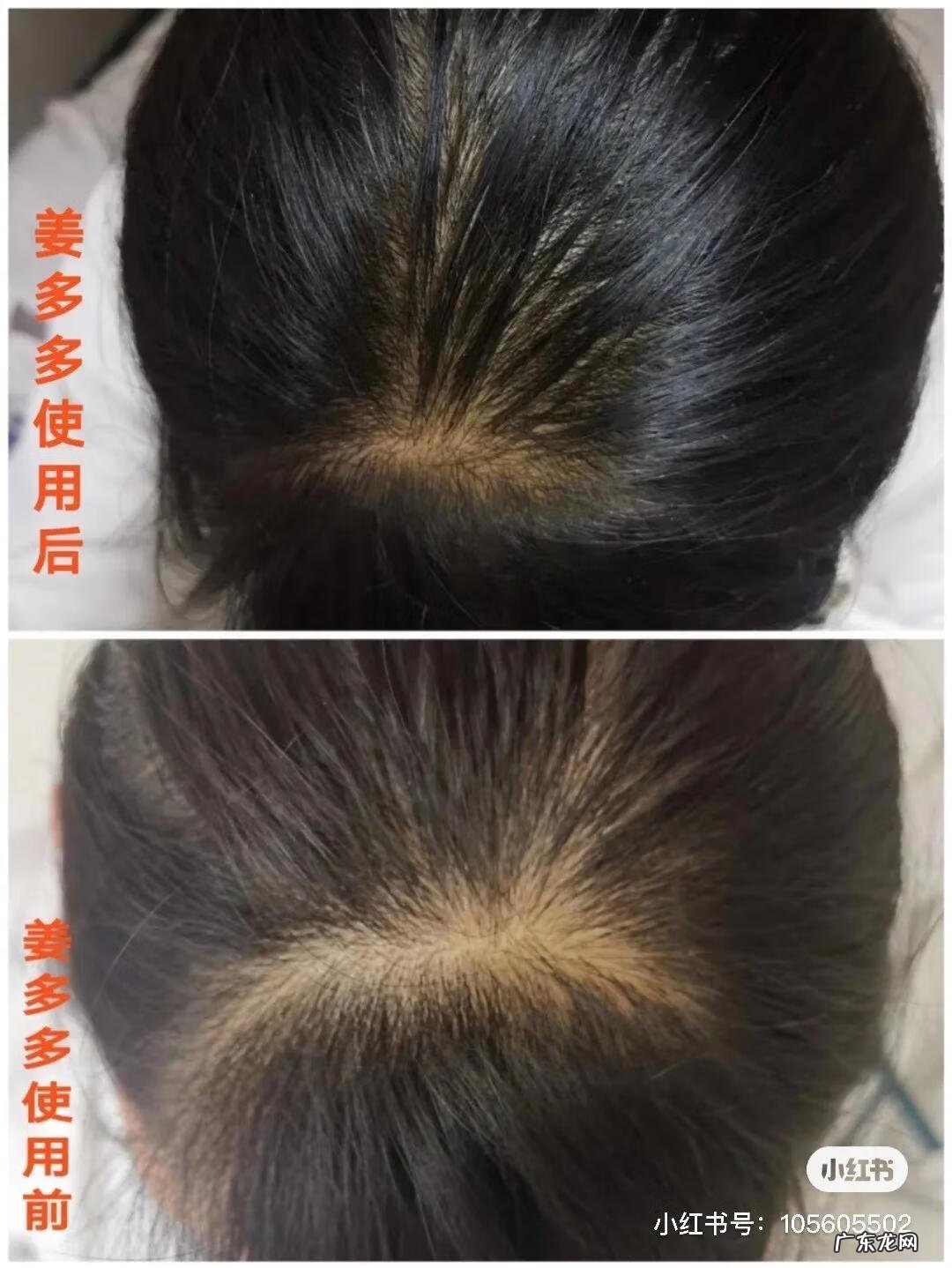 姜多吃好吗 姜多多