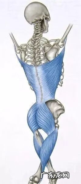 筋膜炎是怎么形成的 筋膜炎