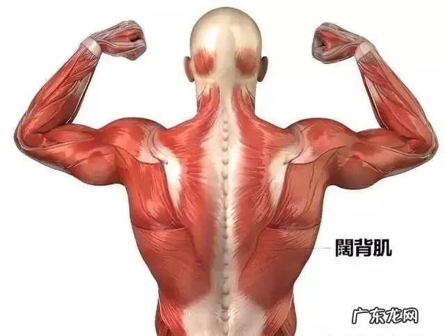 筋膜炎是怎么形成的 筋膜炎