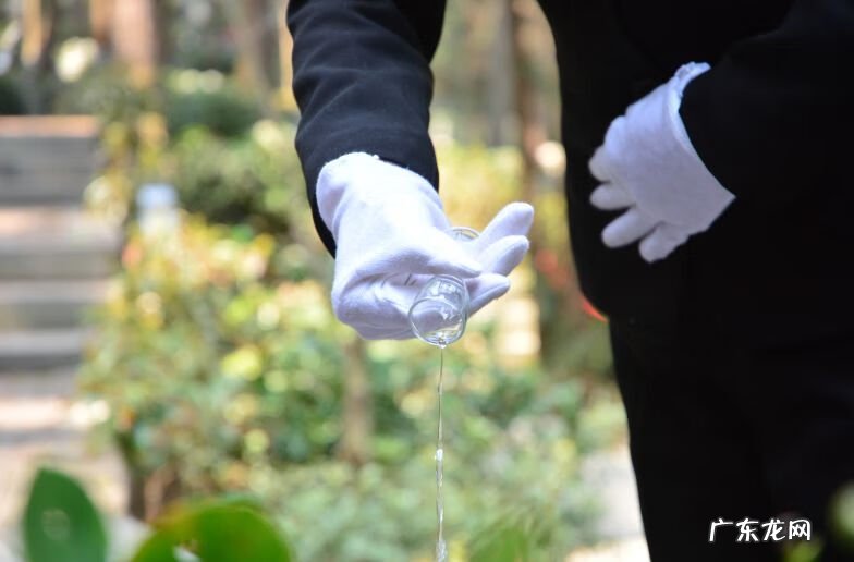 四川凤凰山在哪 贵州龙洞堡凤凰山风水