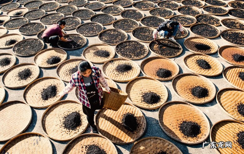 黄姚古镇有什么特点 黄姚古镇风水布局