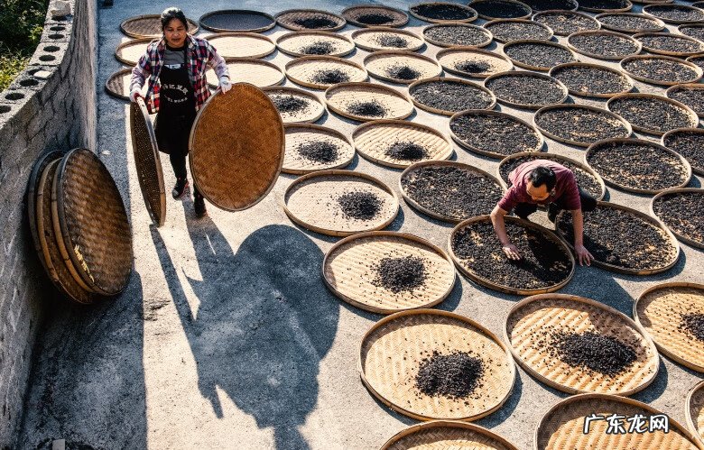 黄姚古镇有什么特点 黄姚古镇风水布局