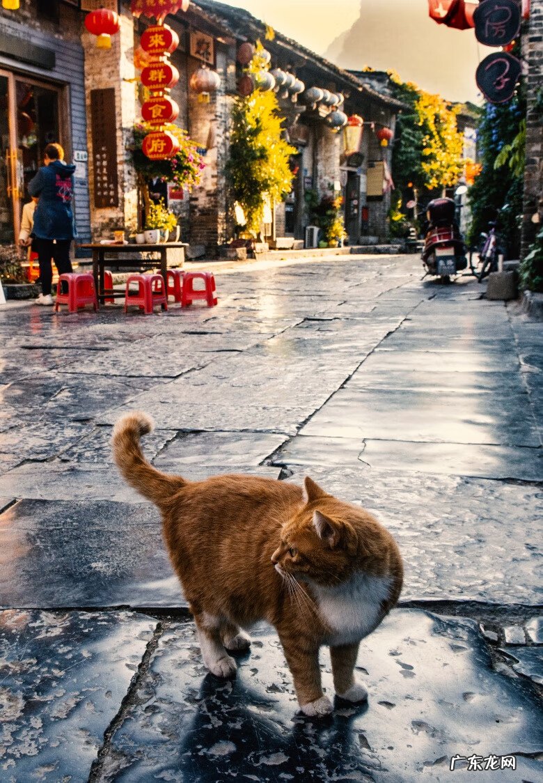 黄姚古镇有什么特点 黄姚古镇风水布局