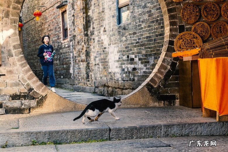 黄姚古镇有什么特点 黄姚古镇风水布局