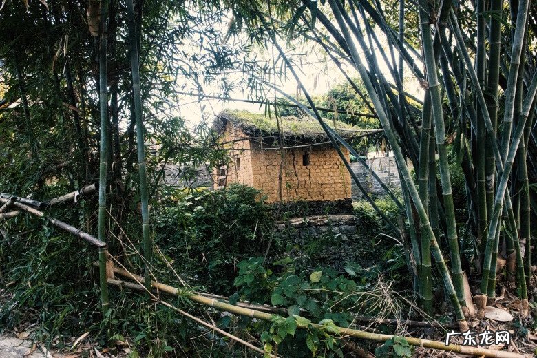 黄姚古镇有什么特点 黄姚古镇风水布局