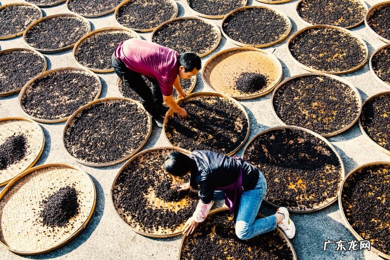 黄姚古镇有什么特点 黄姚古镇风水布局