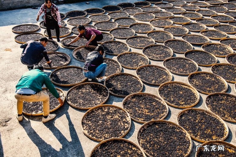 黄姚古镇有什么特点 黄姚古镇风水布局