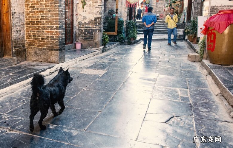 黄姚古镇有什么特点 黄姚古镇风水布局