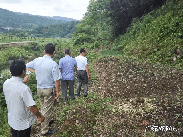 去倒挂金钩啥意思 倒挂金钩风水怎么样