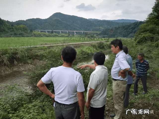 去倒挂金钩啥意思 倒挂金钩风水怎么样