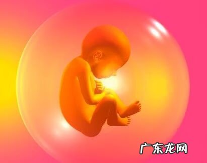 风水家里的哪个位置是心脏 什么样的风水会出现心脏问题