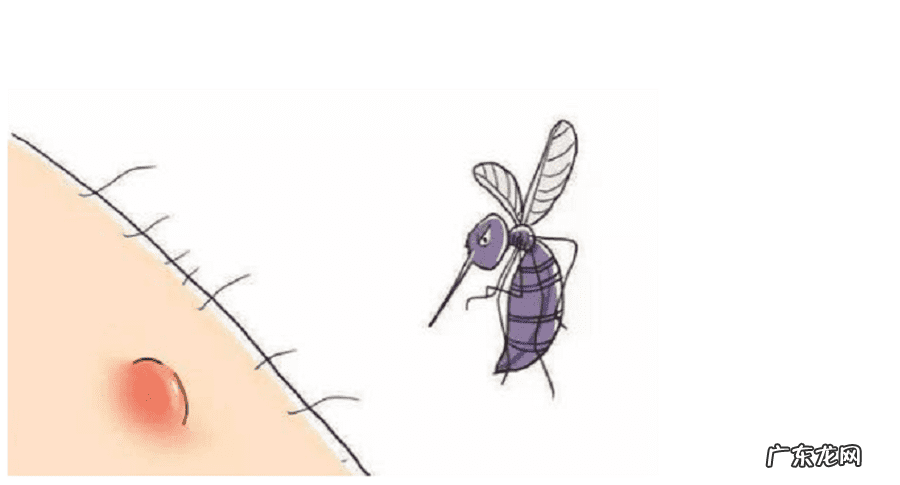 灭蚊灯哪个好 灭蚊灯哪种好?