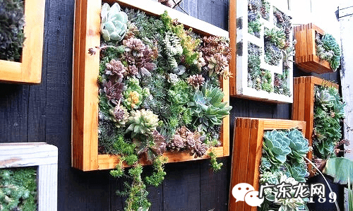 做生意住顶层风水问题 住顶层房子风水