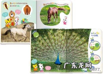 巧虎躲猫猫的视频 巧虎小猫咪