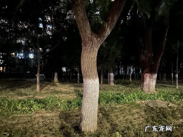 iOS13.3 iOS13.5正式版推送