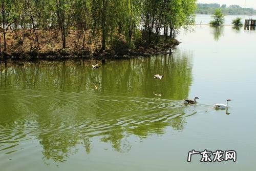 沈阳好玩的地方