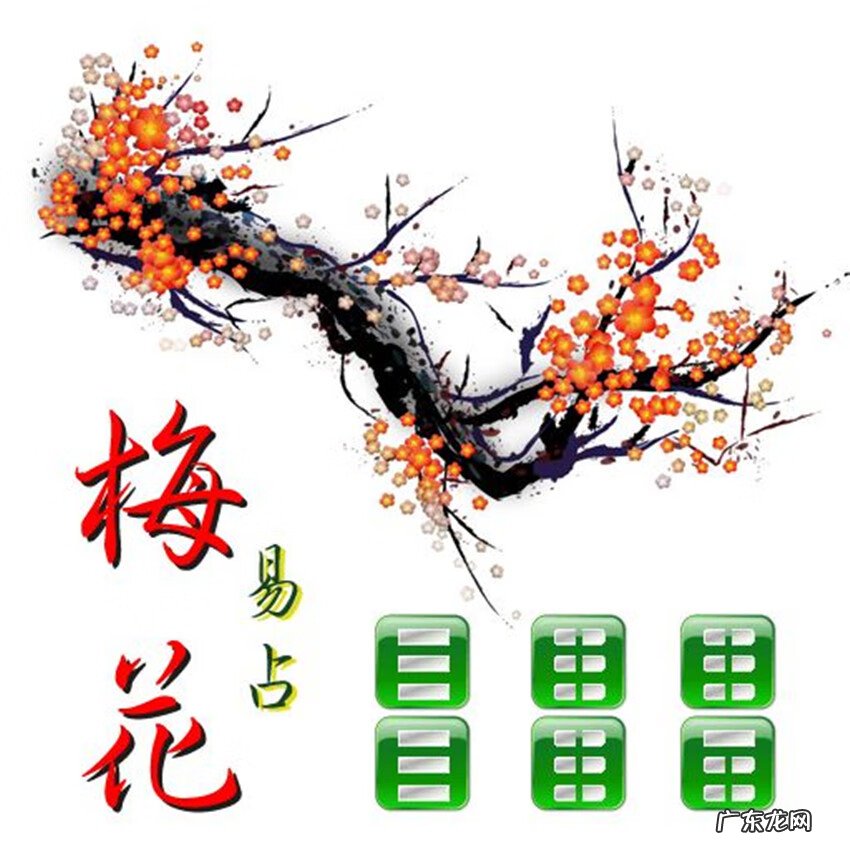 挺膺 邵宏图风水