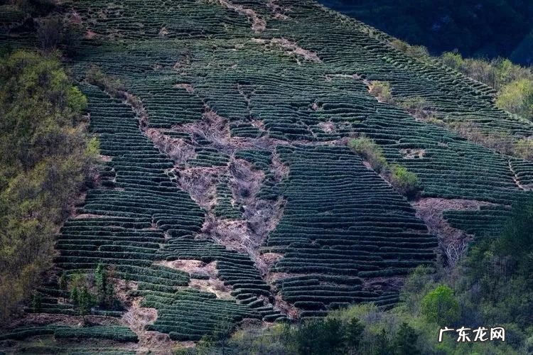 襄阳风水格局 襄阳风水最好的地方