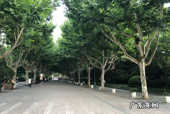 北京风水街 杭州风水街