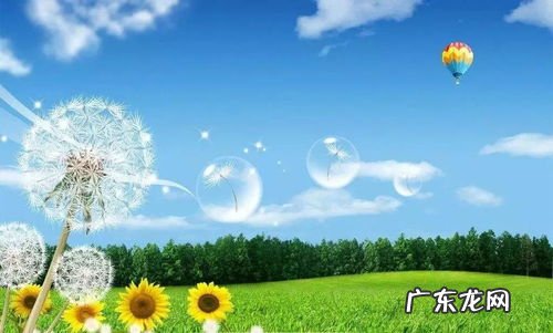 电影什么的春天有哪些 什么什么的春天填四字词语二年级