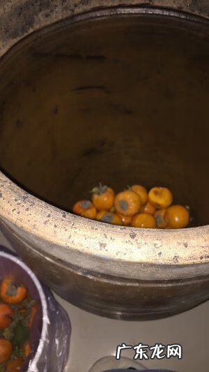 柿子醋的制作 柿子醋的做法与配方