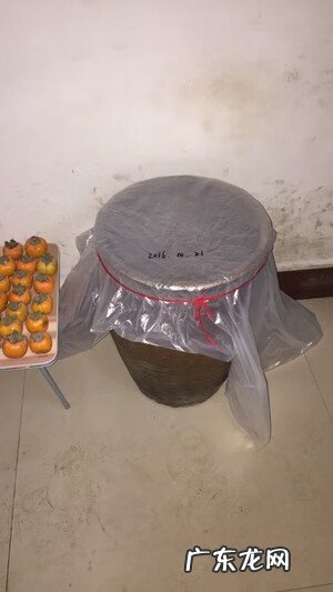 柿子醋的制作 柿子醋的做法与配方