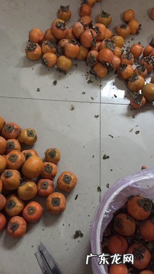 柿子醋的制作 柿子醋的做法与配方