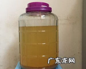 柿子醋的制作 柿子醋的做法与配方