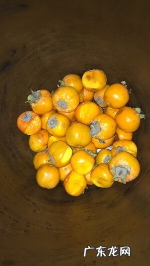 柿子醋的制作 柿子醋的做法与配方