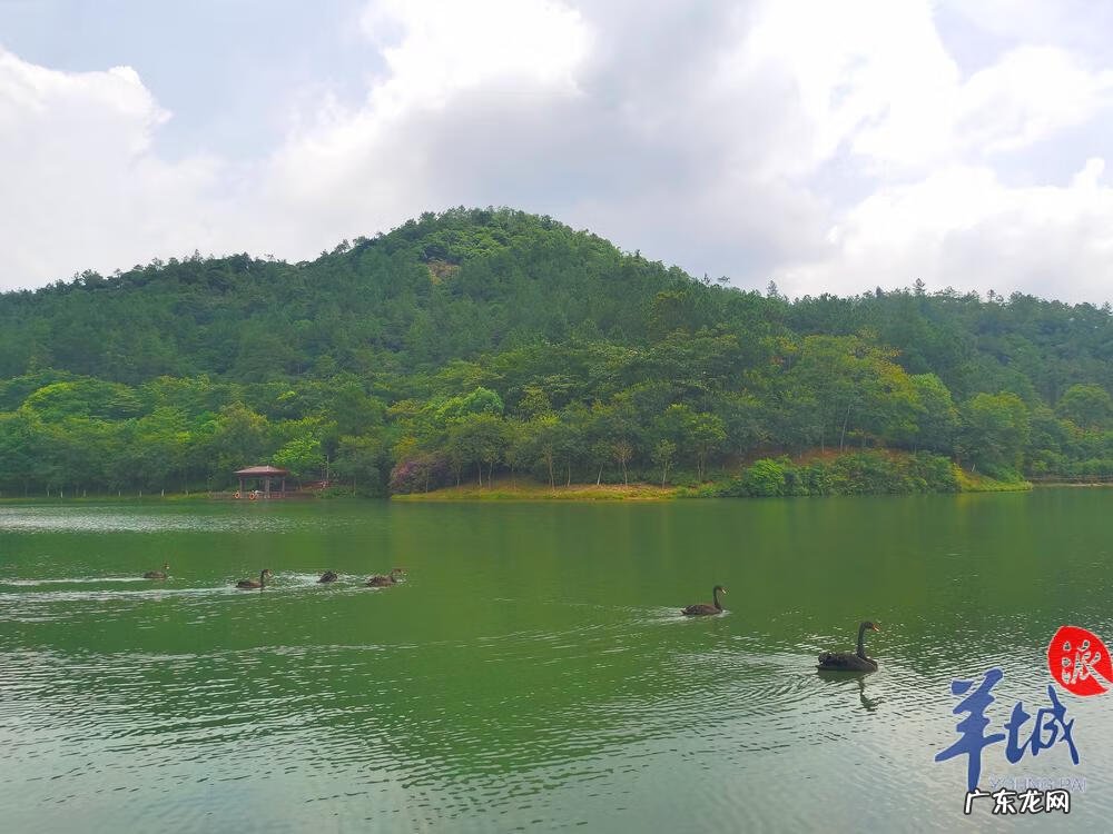 白湖在哪 正果白江湖公园