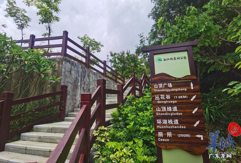 白湖在哪 正果白江湖公园