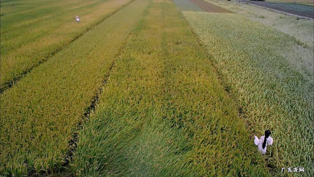 预感·秀丽江山 秀丽江山