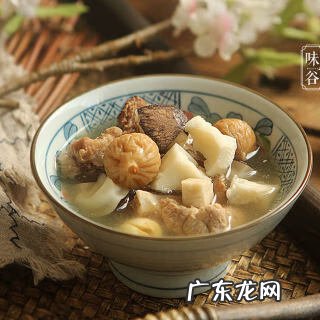 清炖猪肺汤的做法 猪肺汤的做法与功效