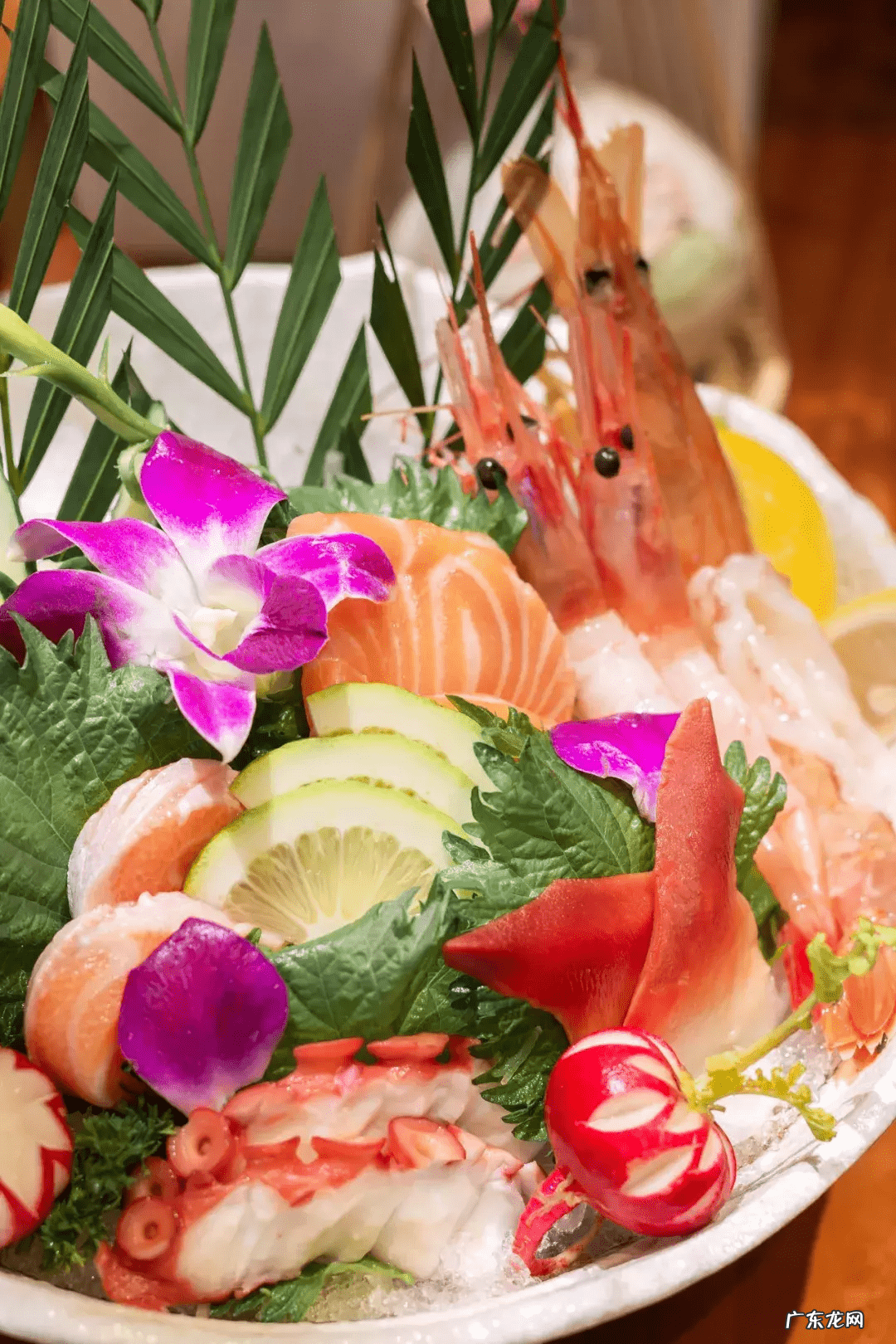 海鲜寿司街下载 海鲜寿司街道