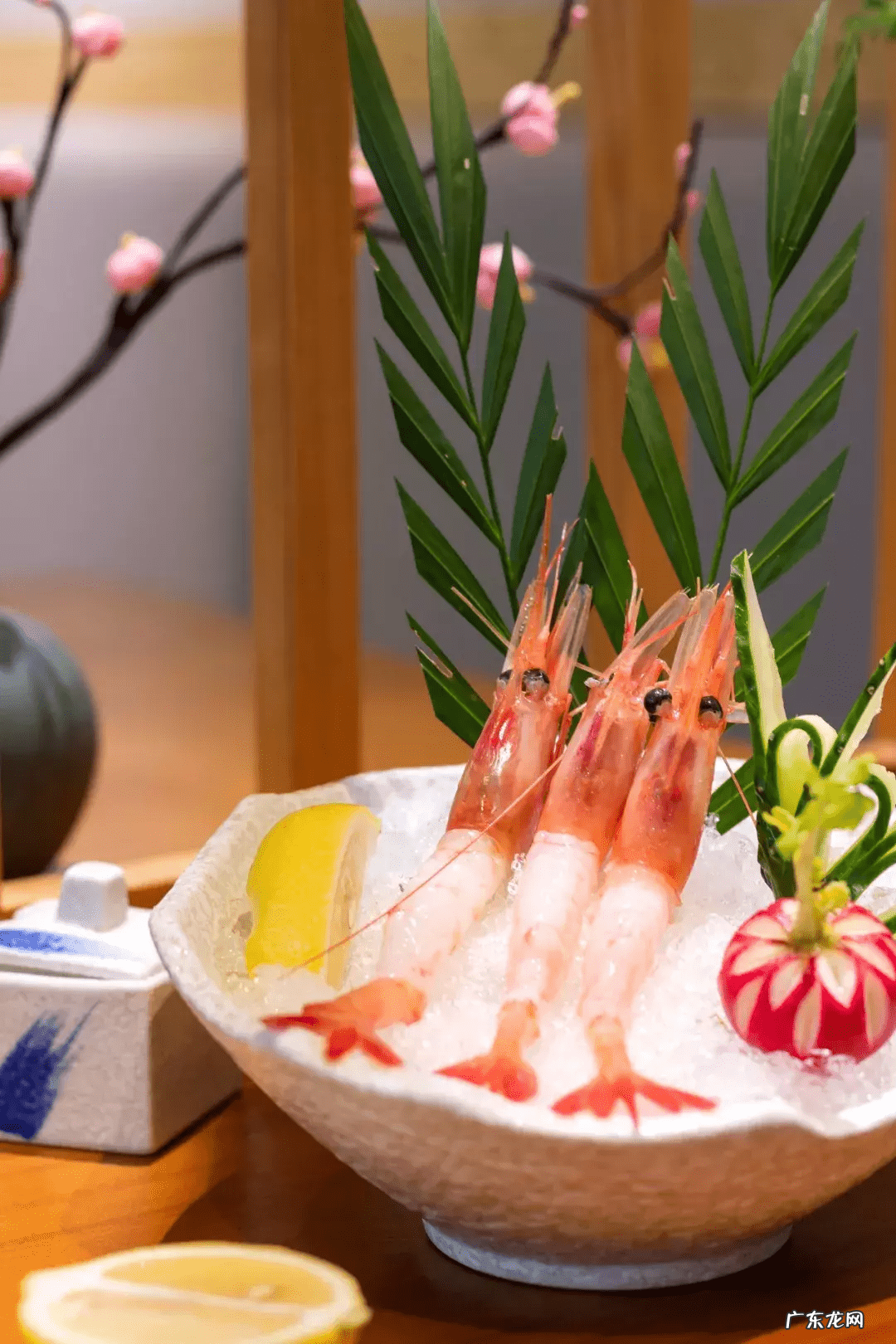 海鲜寿司街下载 海鲜寿司街道