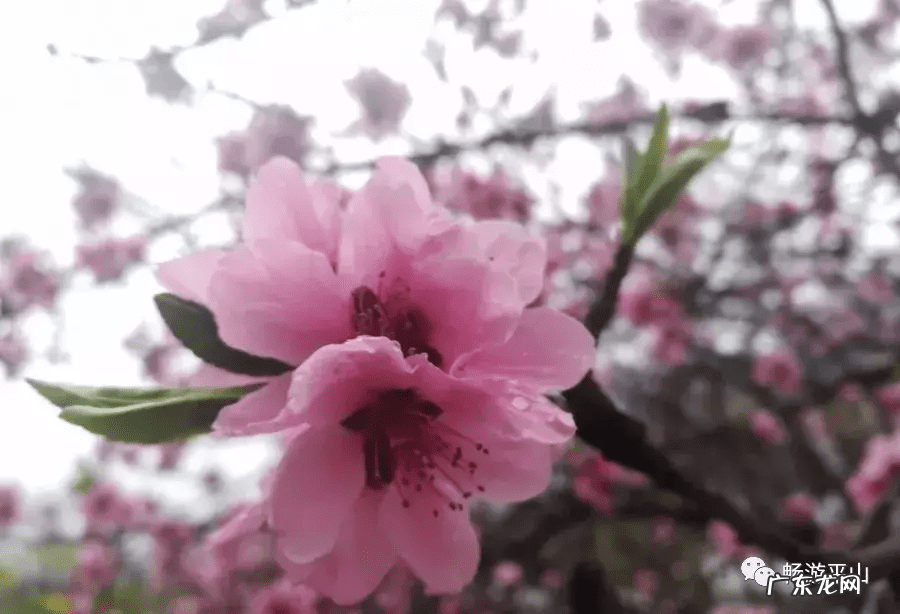 天桂山门票价格多少 天桂山好玩吗