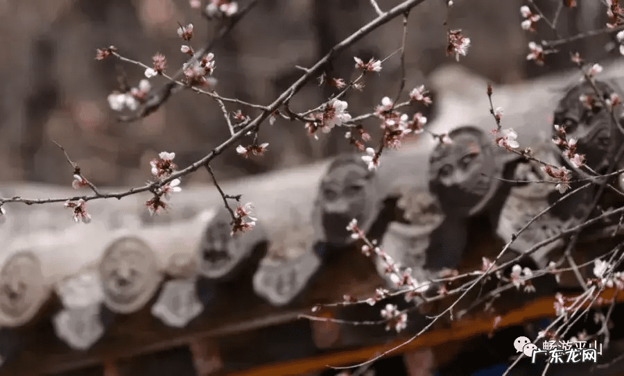 天桂山门票价格多少 天桂山好玩吗
