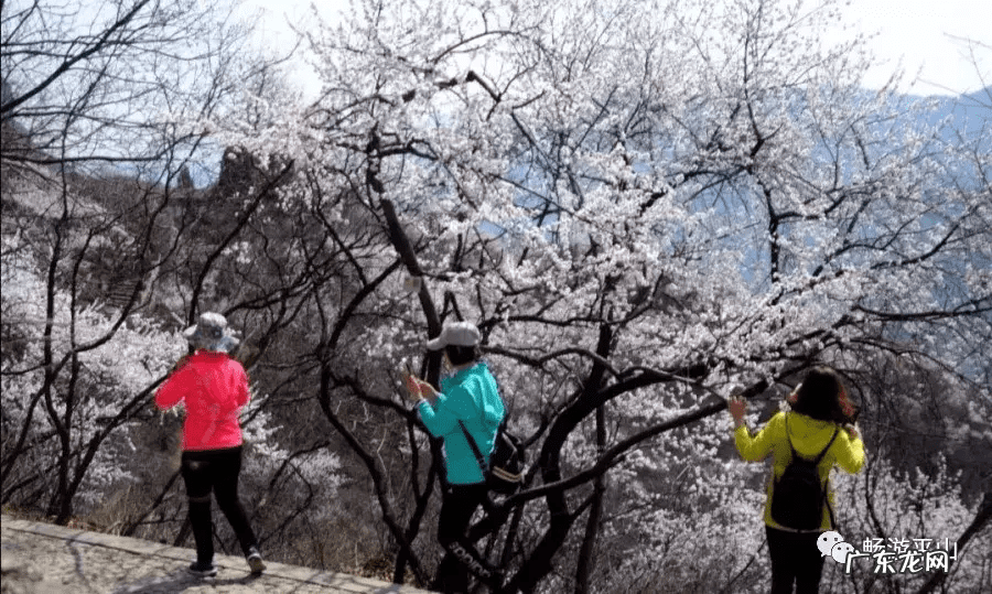天桂山门票价格多少 天桂山好玩吗