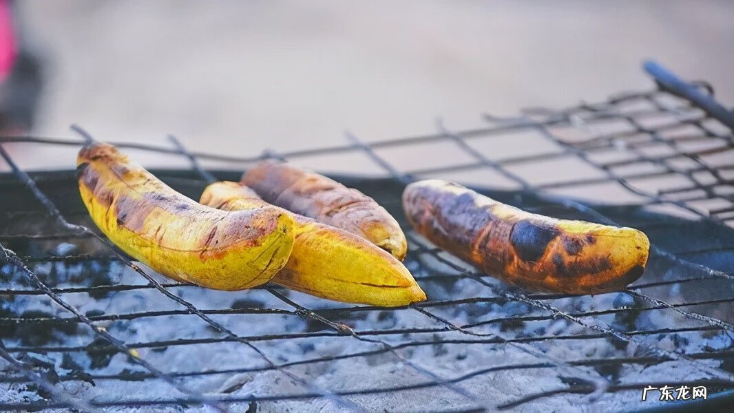 泰坦尼亚在哪 高达泰坦尼亚