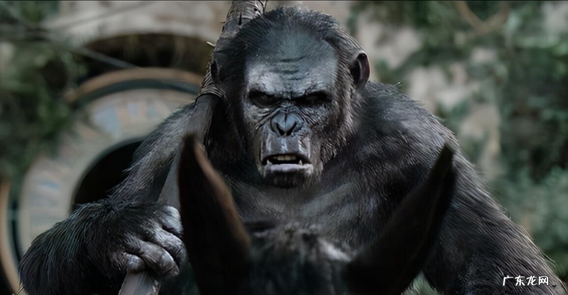 泰坦尼亚在哪 高达泰坦尼亚