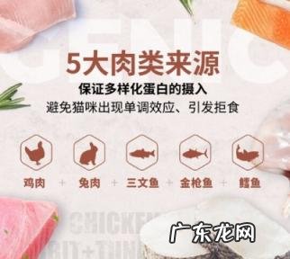 伯纳天纯的猫粮口碑怎么样 伯纳天纯猫粮怎么样性价比高的猫粮
