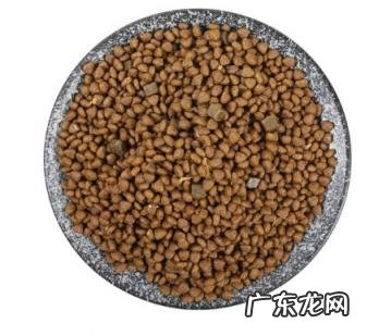 伯纳天纯的猫粮口碑怎么样 伯纳天纯猫粮怎么样性价比高的猫粮